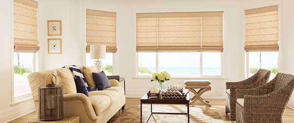 Blinds Blinds